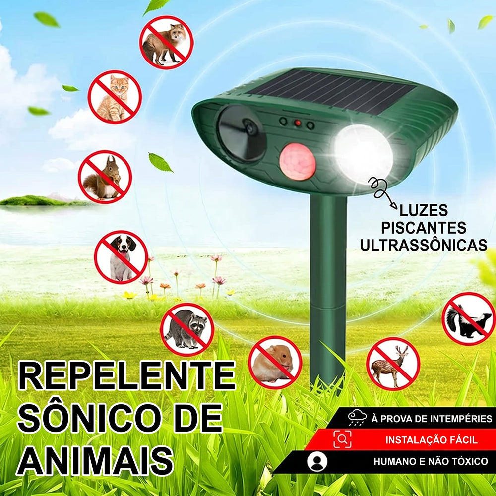 PestiqPaw