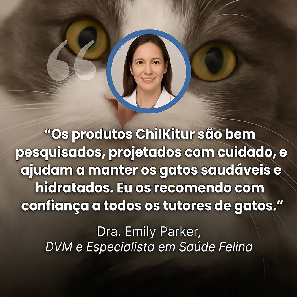 ChilKitur